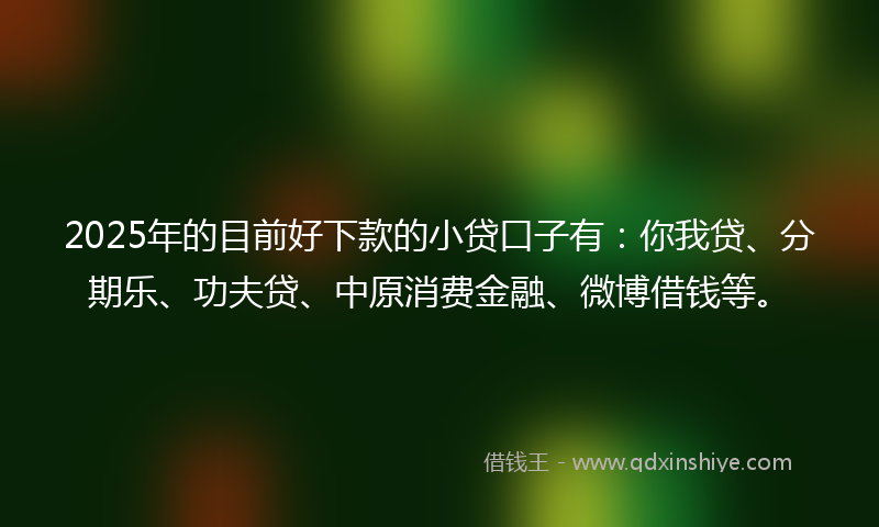 2025年的目前好下款的小贷口子有：你我贷、分期乐、功夫贷、中原消费金融、微博借钱等。