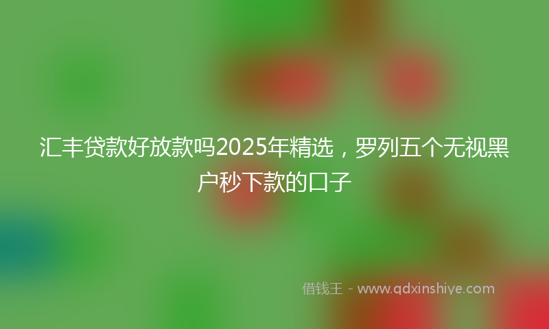 汇丰贷款好放款吗2025年精选，罗列五个无视黑户秒下款的口子