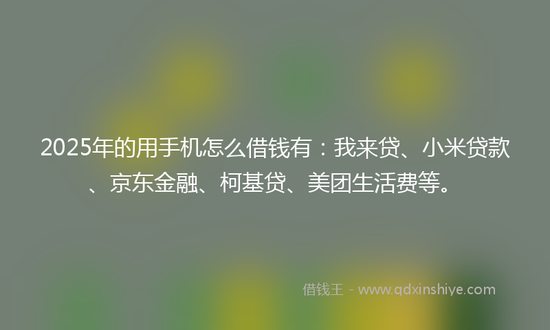 2025年的用手机怎么借钱有:我来贷、小米贷款、京东金融、柯基贷、美团生活费等。