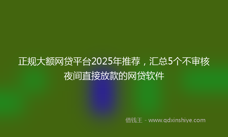 正规大额网贷平台2025年推荐，汇总5个不审核夜间直接放款的网贷软件