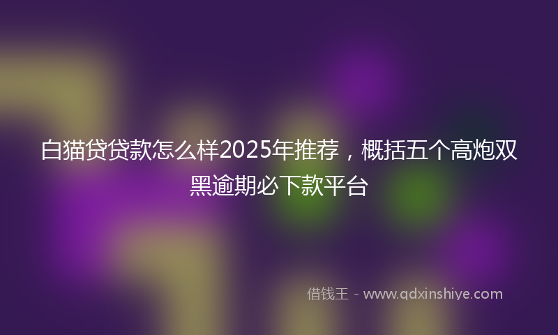 白猫贷贷款怎么样2025年推荐，概括五个高炮双黑逾期必下款平台