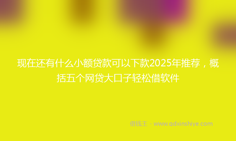 现在还有什么小额贷款可以下款2025年推荐，概括五个网贷大口子轻松借软件