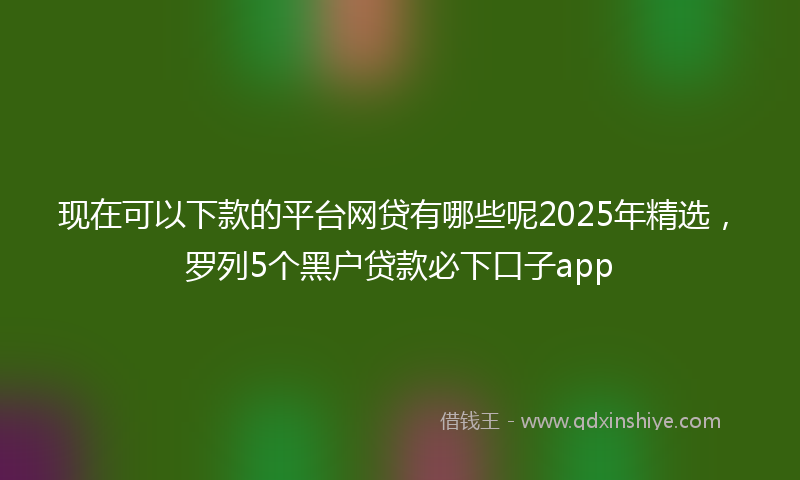 现在可以下款的平台网贷有哪些呢2025年精选，罗列5个黑户贷款必下口子app
