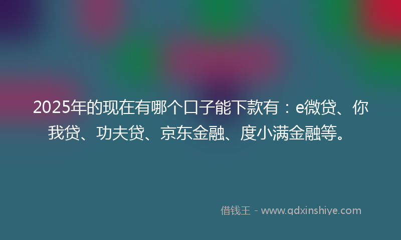2025年的现在有哪个口子能下款有：e微贷、你我贷、功夫贷、京东金融、度小满金融等。
