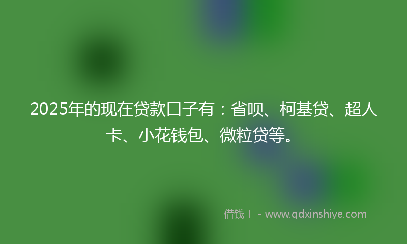 2025年的现在贷款口子有：省呗、柯基贷、超人卡、小花钱包、微粒贷等。