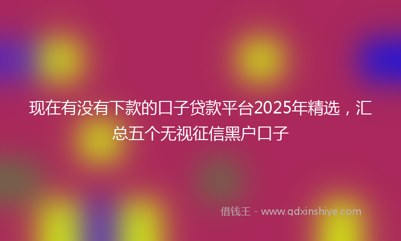 现在有没有下款的口子贷款平台2025年精选，汇总五个无视征信黑户口子