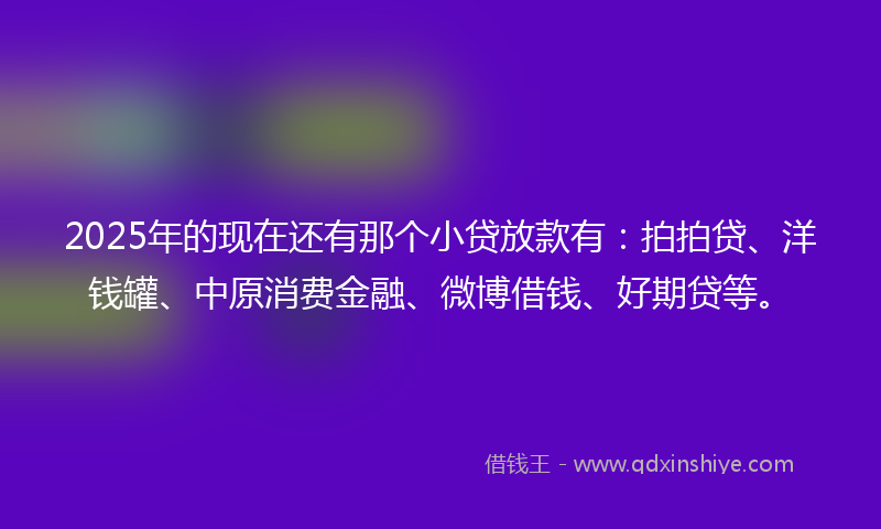 2025年的现在还有那个小贷放款有：拍拍贷、洋钱罐、中原消费金融、微博借钱、好期贷等。