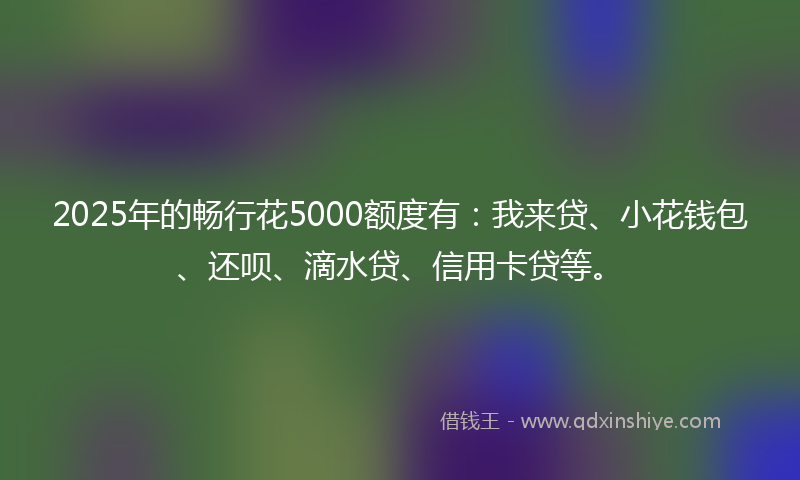 2025年的畅行花5000额度有：我来贷、小花钱包、还呗、滴水贷、信用卡贷等。