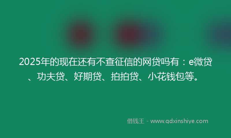 2025年的现在还有不查征信的网贷吗有：e微贷、功夫贷、好期贷、拍拍贷、小花钱包等。