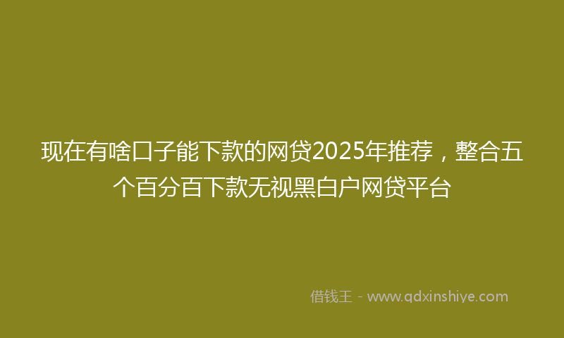 现在有啥口子能下款的网贷2025年推荐，整合五个百分百下款无视黑白户网贷平台