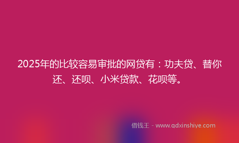 2025年的比较容易审批的网贷有：功夫贷、替你还、还呗、小米贷款、花呗等。