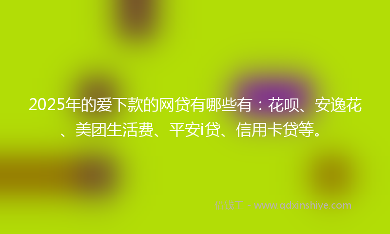 2025年的爱下款的网贷有哪些有：花呗、安逸花、美团生活费、平安i贷、信用卡贷等。