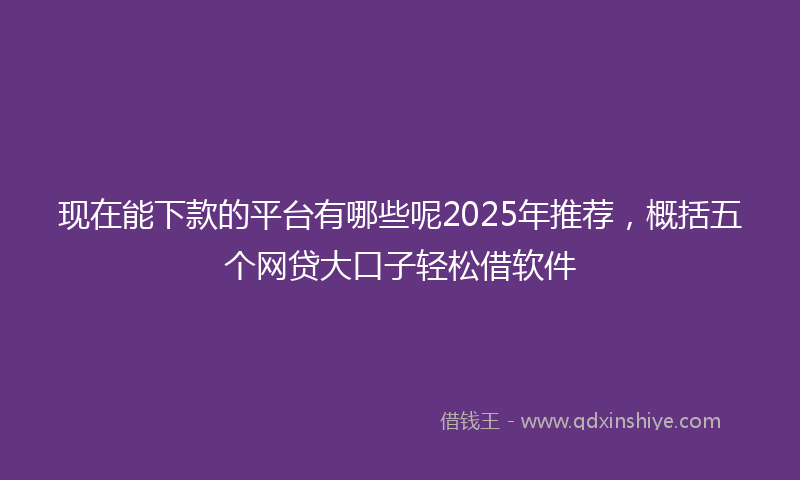 现在能下款的平台有哪些呢2025年推荐,概括五个网贷大口子轻松借软件
