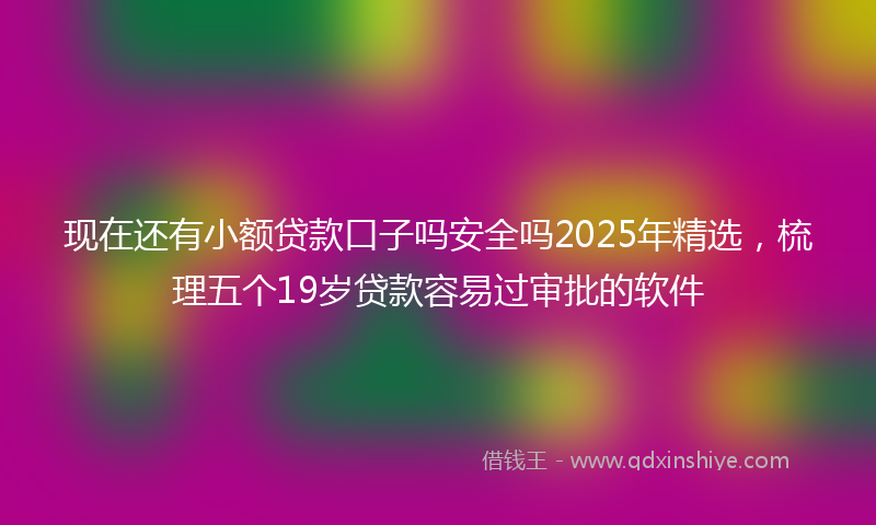 现在还有小额贷款口子吗安全吗2025年精选，梳理五个19岁贷款容易过审批的软件