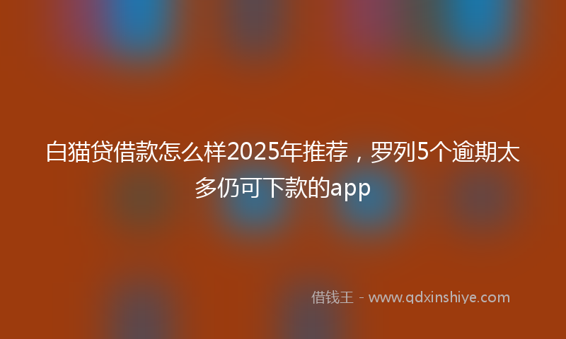 白猫贷借款怎么样2025年推荐，罗列5个逾期太多仍可下款的app