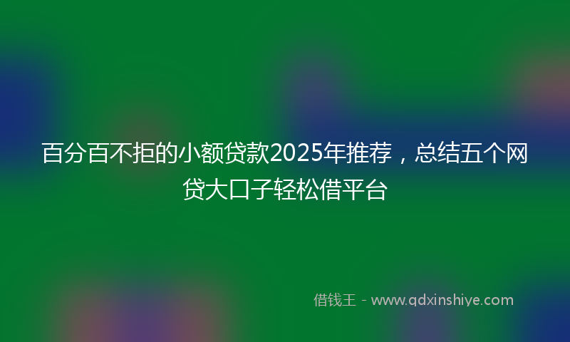 百分百不拒的小额贷款2025年推荐，总结五个网贷大口子轻松借平台