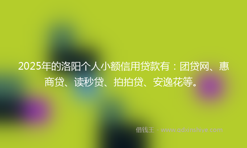 2025年的洛阳个人小额信用贷款有：团贷网、惠商贷、读秒贷、拍拍贷、安逸花等。