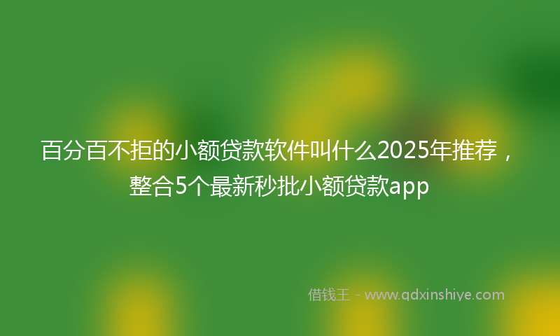 百分百不拒的小额贷款软件叫什么2025年推荐，整合5个最新秒批小额贷款app
