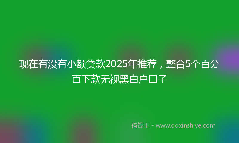 现在有没有小额贷款2025年推荐，整合5个百分百下款无视黑白户口子