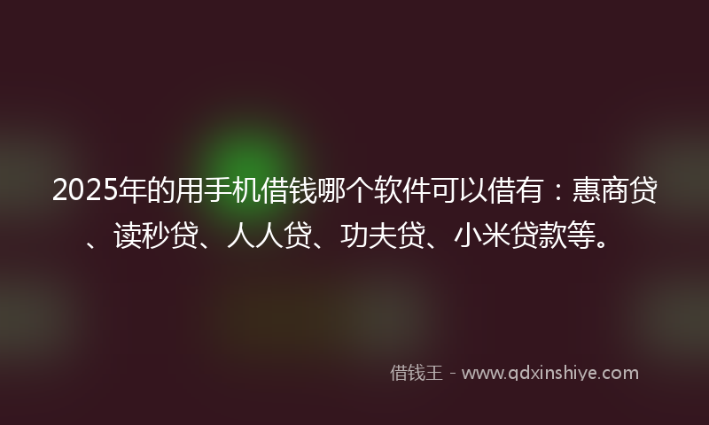 2025年的用手机借钱哪个软件可以借有：惠商贷、读秒贷、人人贷、功夫贷、小米贷款等。