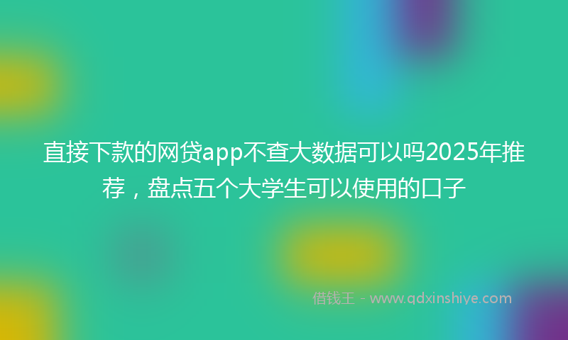 直接下款的网贷app不查大数据可以吗2025年推荐，盘点五个大学生可以使用的口子