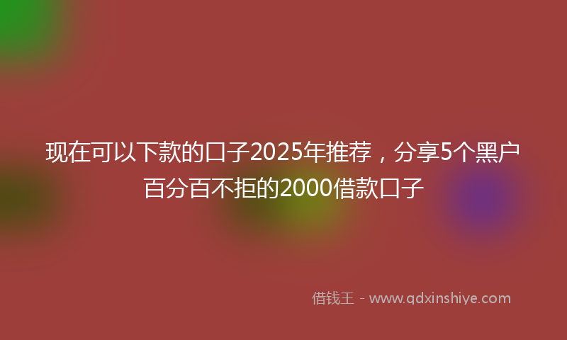 现在可以下款的口子2025年推荐，分享5个黑户百分百不拒的2000借款口子