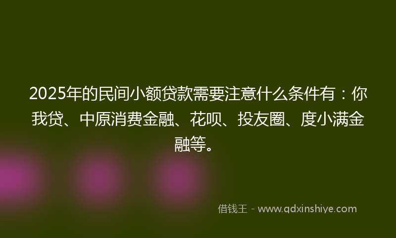 2025年的民间小额贷款需要注意什么条件有：你我贷、中原消费金融、花呗、投友圈、度小满金融等。