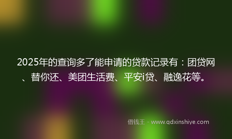 2025年的查询多了能申请的贷款记录有：团贷网、替你还、美团生活费、平安i贷、融逸花等。
