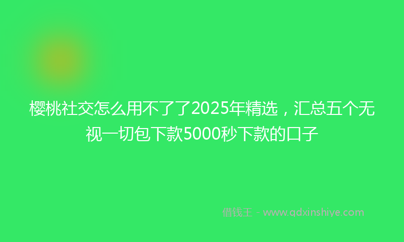 樱桃社交怎么用不了了2025年精选，汇总五个无视一切包下款5000秒下款的口子