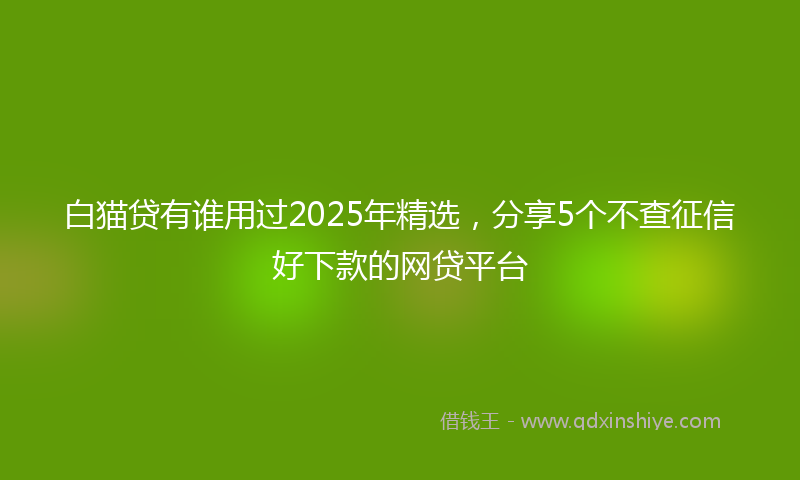 白猫贷有谁用过2025年精选，分享5个不查征信好下款的网贷平台