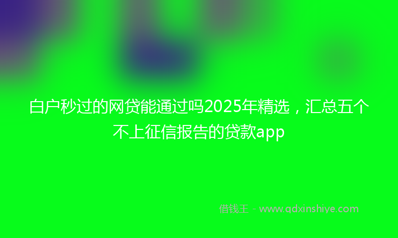 白户秒过的网贷能通过吗2025年精选，汇总五个不上征信报告的贷款app