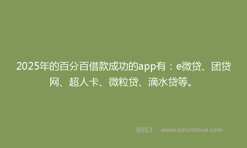2025年的百分百借款成功的app有：e微贷、团贷网、超人卡、微粒贷、滴水贷等。