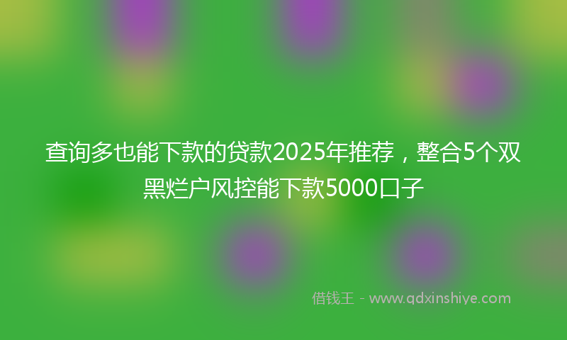 查询多也能下款的贷款2025年推荐，整合5个双黑烂户风控能下款5000口子