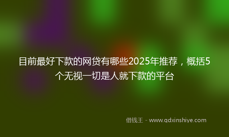 目前最好下款的网贷有哪些2025年推荐，概括5个无视一切是人就下款的平台