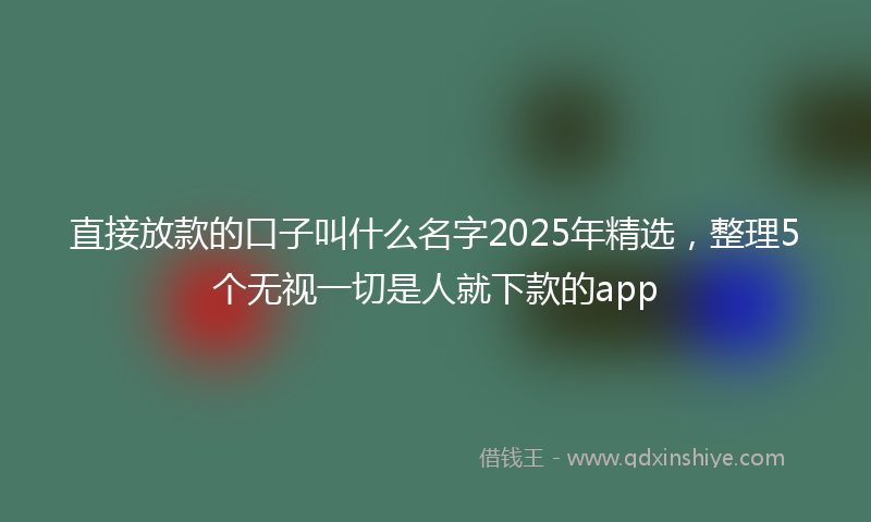 直接放款的口子叫什么名字2025年精选，整理5个无视一切是人就下款的app