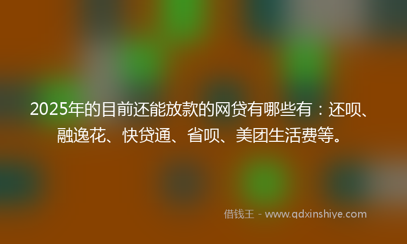 2025年的目前还能放款的网贷有哪些有：还呗、融逸花、快贷通、省呗、美团生活费等。
