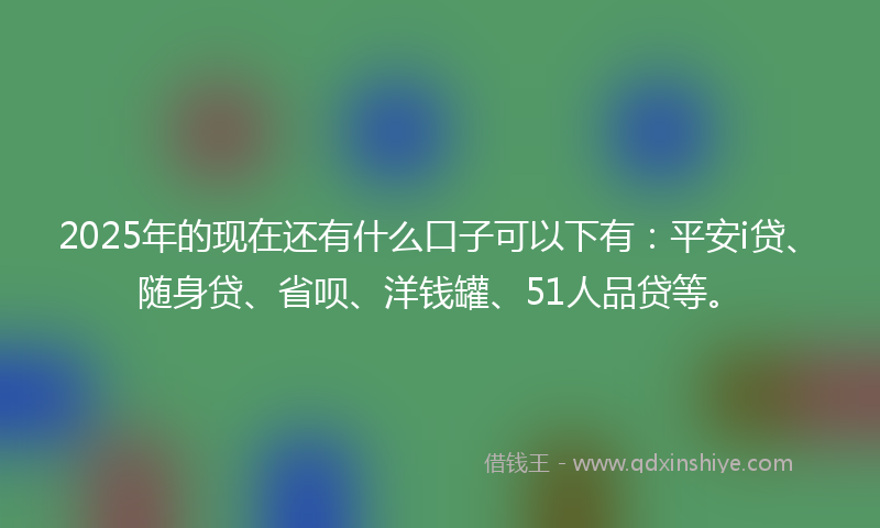 2025年的现在还有什么口子可以下有：平安i贷、随身贷、省呗、洋钱罐、51人品贷等。