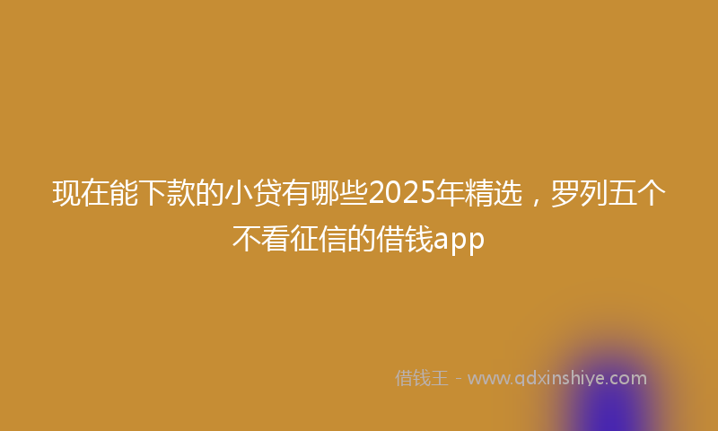 现在能下款的小贷有哪些2025年精选，罗列五个不看征信的借钱app