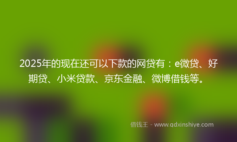 2025年的现在还可以下款的网贷有：e微贷、好期贷、小米贷款、京东金融、微博借钱等。