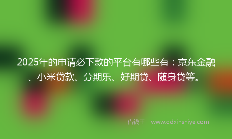 2025年的申请必下款的平台有哪些有：京东金融、小米贷款、分期乐、好期贷、随身贷等。