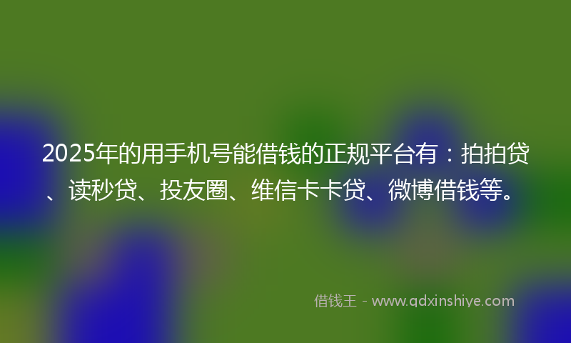 2025年的用手机号能借钱的正规平台有：拍拍贷、读秒贷、投友圈、维信卡卡贷、微博借钱等。