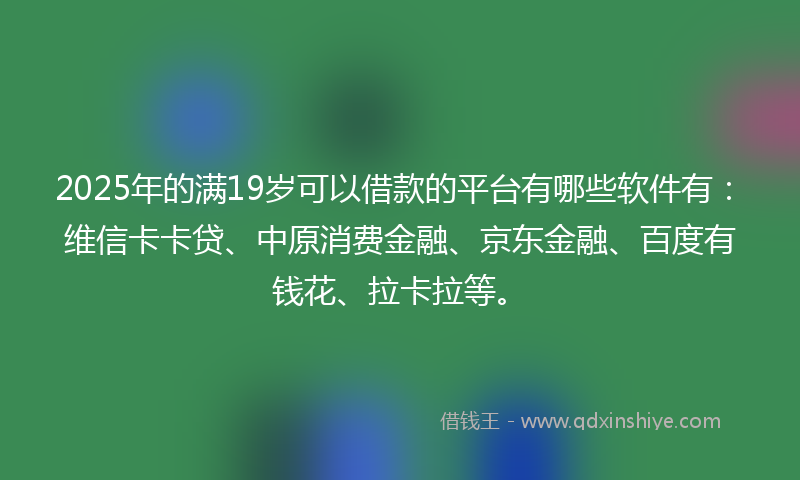 2025年的满19岁可以借款的平台有哪些软件有：维信卡卡贷、中原消费金融、京东金融、百度有钱花、拉卡拉等。