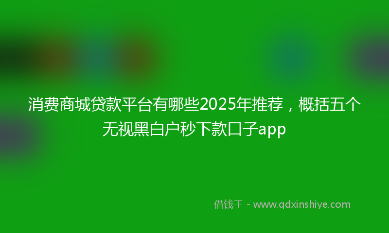 消费商城贷款平台有哪些2025年推荐，概括五个无视黑白户秒下款口子app