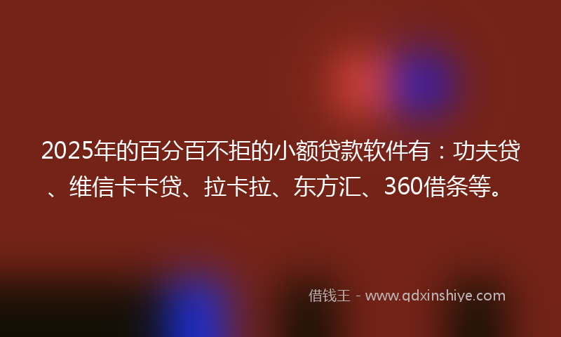 2025年的百分百不拒的小额贷款软件有：功夫贷、维信卡卡贷、拉卡拉、东方汇、360借条等。