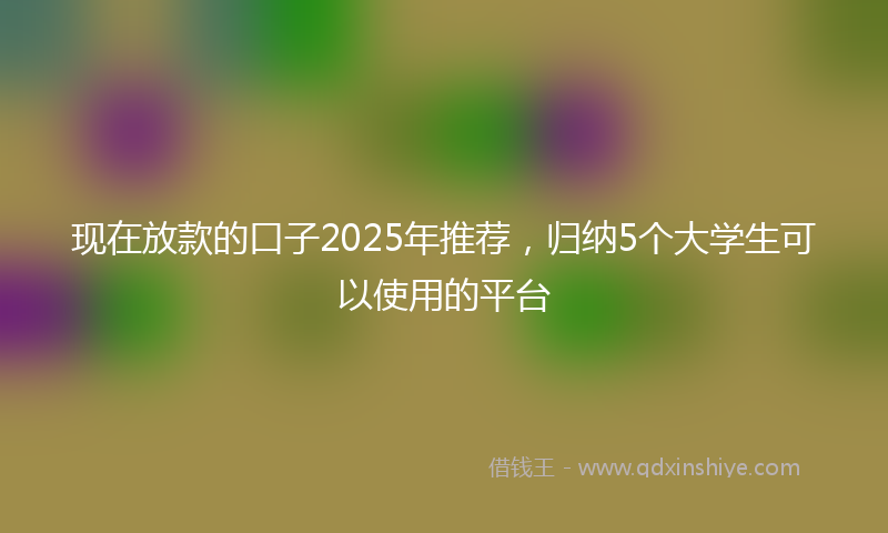 现在放款的口子2025年推荐，归纳5个大学生可以使用的平台