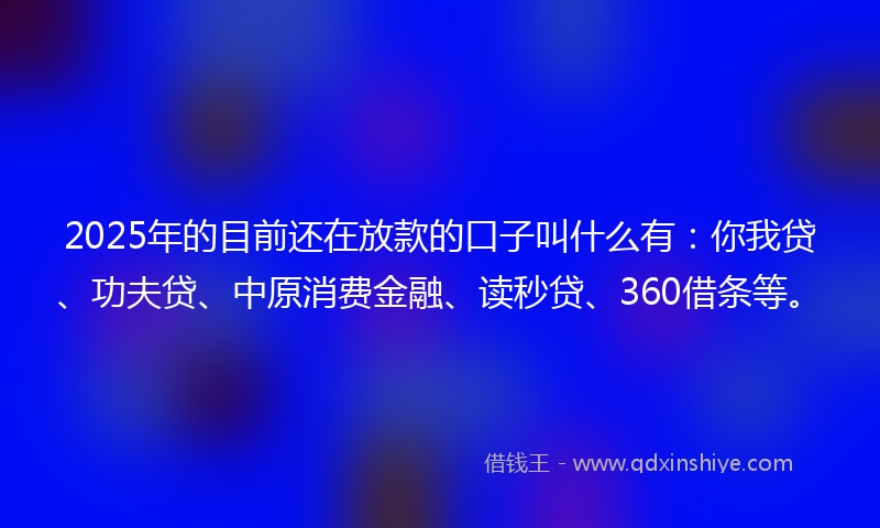 2025年的目前还在放款的口子叫什么有：你我贷、功夫贷、中原消费金融、读秒贷、360借条等。