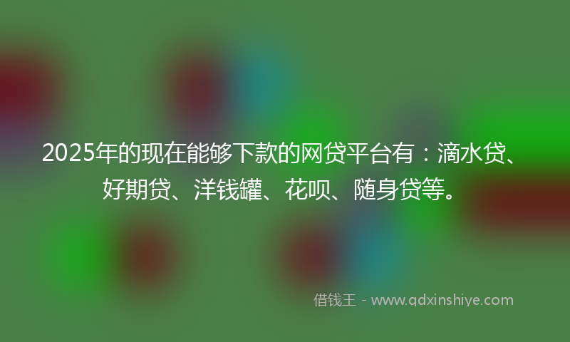 2025年的现在能够下款的网贷平台有：滴水贷、好期贷、洋钱罐、花呗、随身贷等。