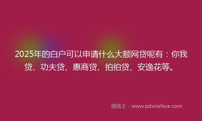 2025年的白户可以申请什么大额网贷呢有：你我贷、功夫贷、惠商贷、拍拍贷、安逸花等。