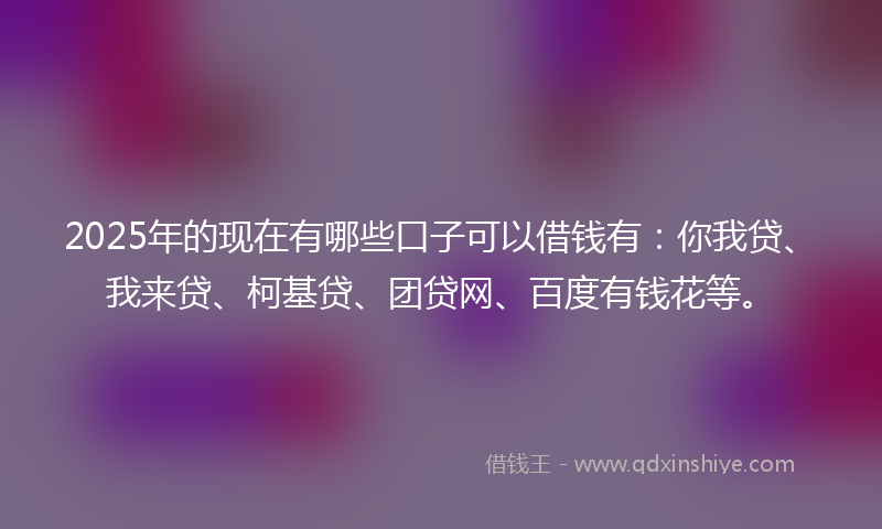 2025年的现在有哪些口子可以借钱有：你我贷、我来贷、柯基贷、团贷网、百度有钱花等。