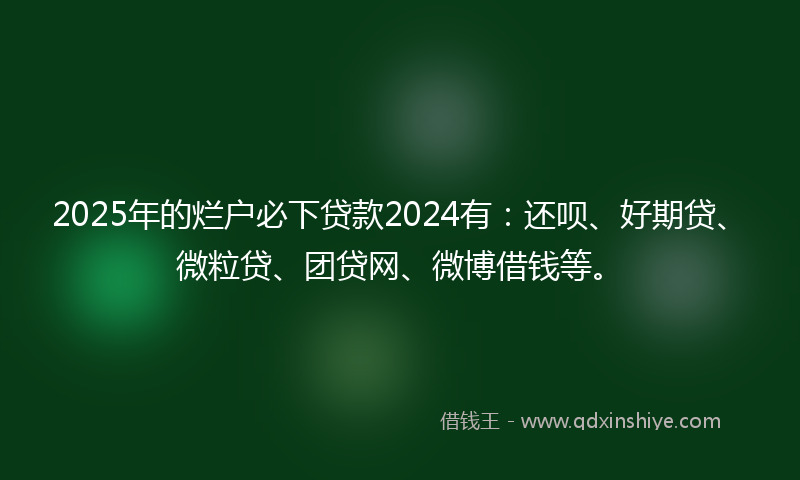 2025年的烂户必下贷款2024有：还呗、好期贷、微粒贷、团贷网、微博借钱等。